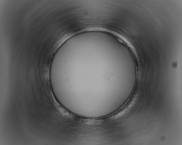 X0000099950905200806201310
