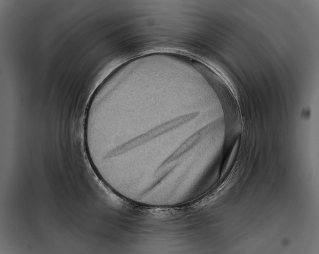 X0000099950906200806201310