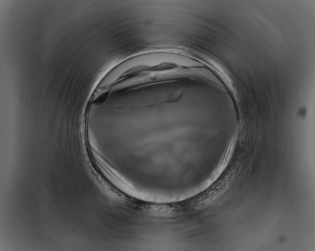X0000099950907200806201310