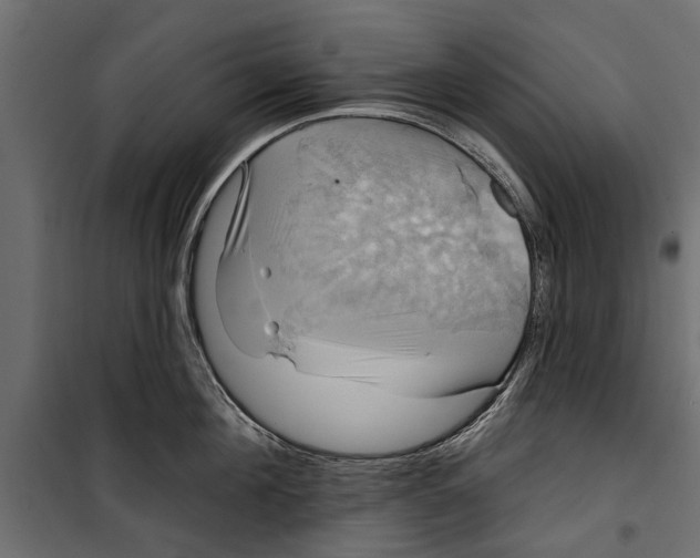 X0000099950908200806201310