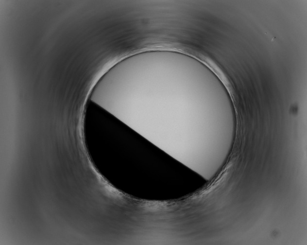 X0000099950909200806201310