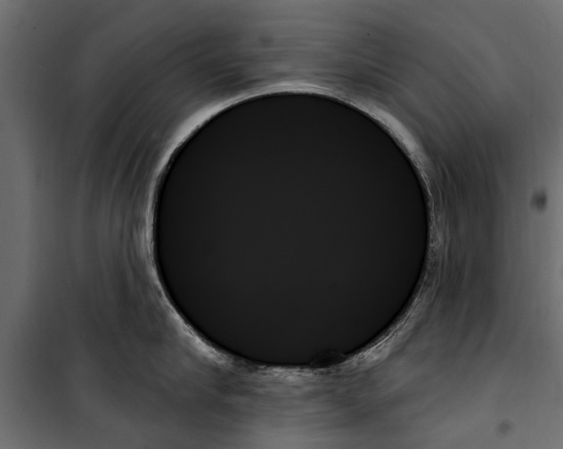X0000099950910200806201310