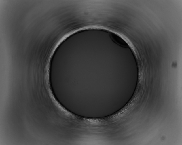 X0000099950911200806201310