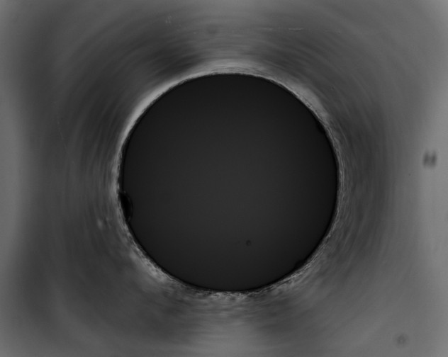 X0000099950912200806201310