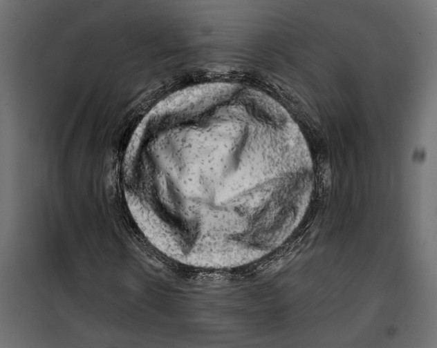 X0000099950914200806201309