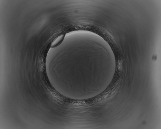 X0000099950915200806201309