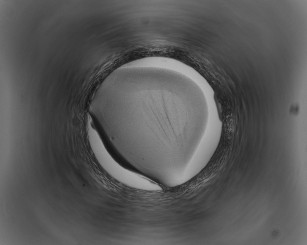 X0000099950916200806201309