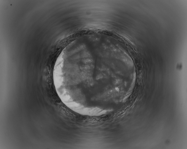 X0000099950917200806201309