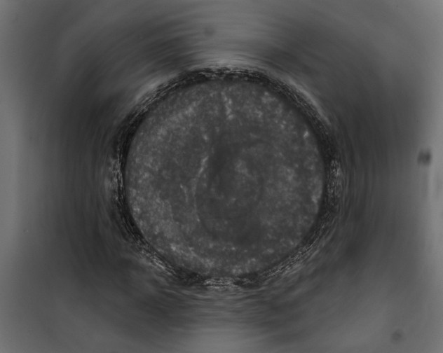 X0000099950918200806201309