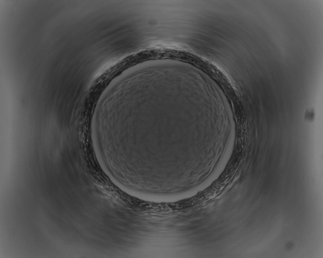 X0000099950919200806201309