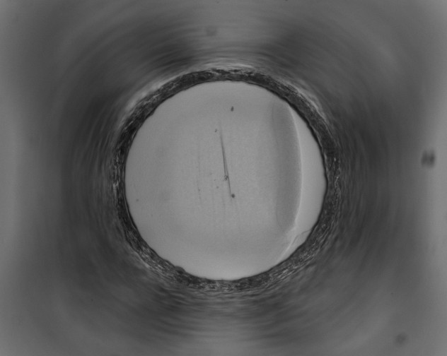 X0000099950920200806201309