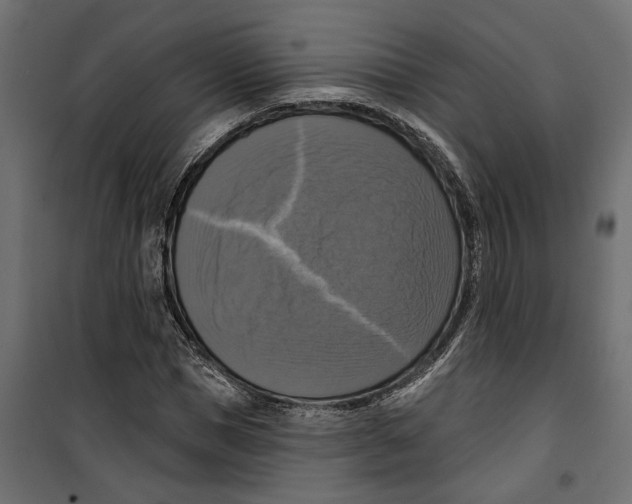 X0000099950921200806201309