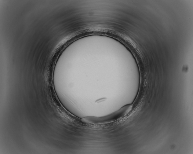 X0000099950922200806201309
