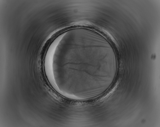 X0000099950923200806201309