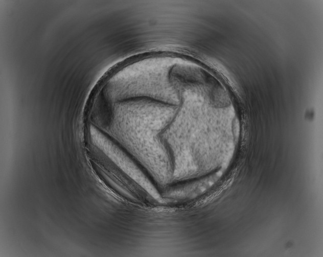 X0000099950924200806201309