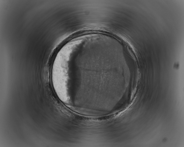 X0000099950925200806201309
