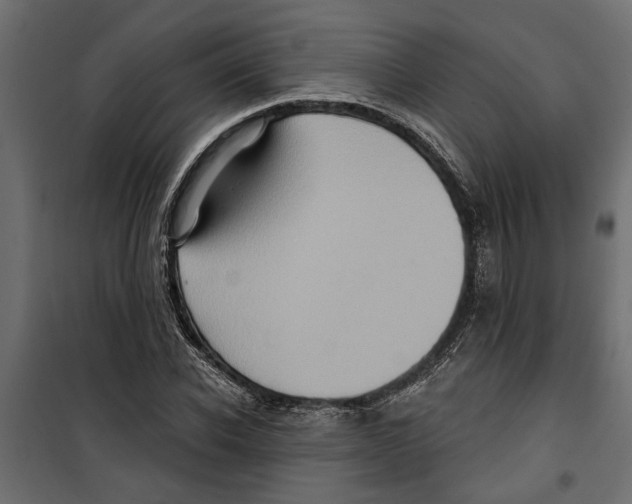 X0000099950926200806201309