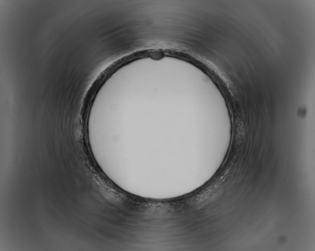 X0000099950927200806201309