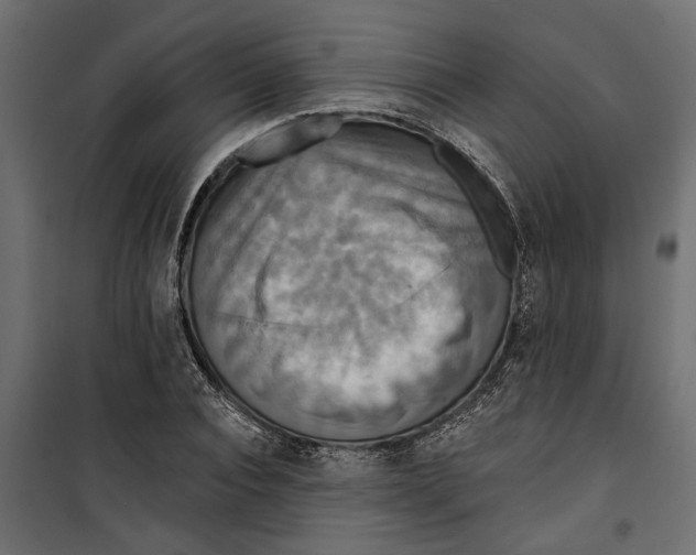 X0000099950928200806201309