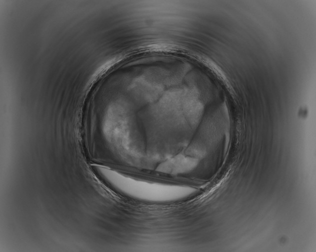 X0000099950930200806201309