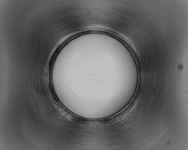 X0000099950931200806201309