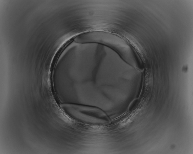 X0000099950932200806201309