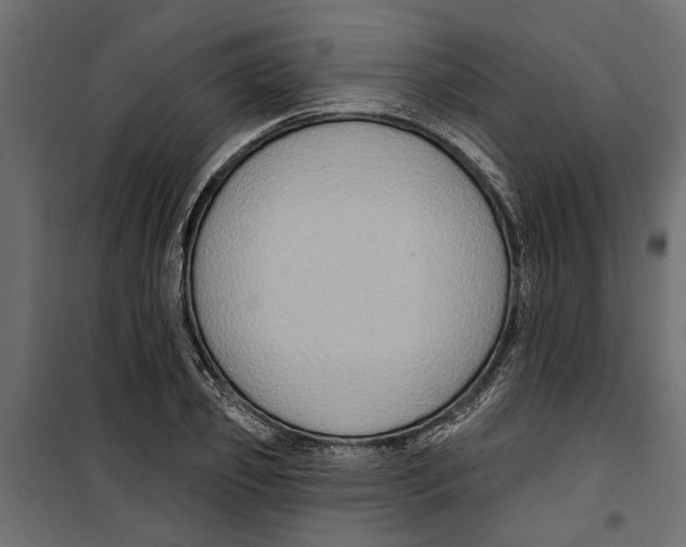 X0000099950933200806201309