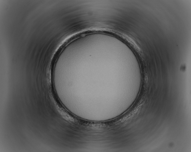 X0000099950934200806201309