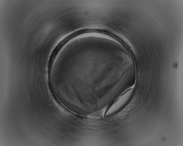 X0000099950935200806201309
