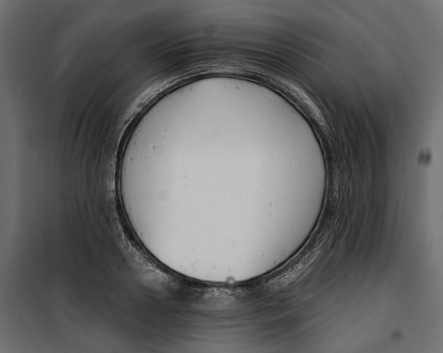 X0000099950938200806201309