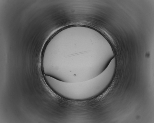 X0000099950940200806201309