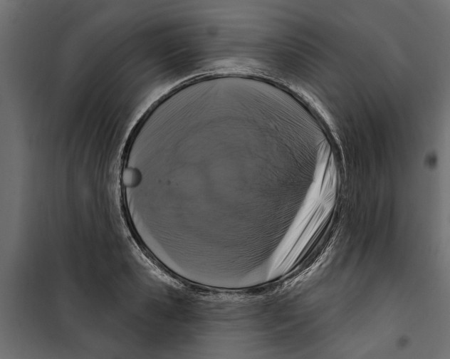 X0000099950941200806201309