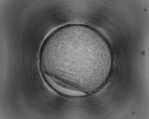 X0000099950942200806201309