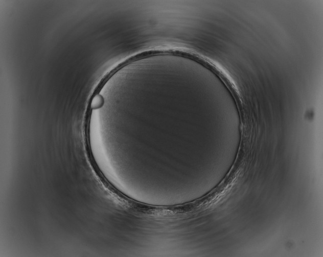 X0000099950943200806201309