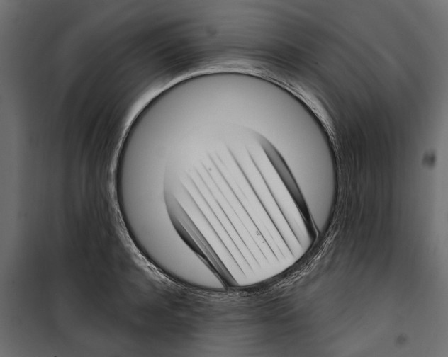X0000099950944200806201309