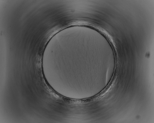 X0000099950945200806201309