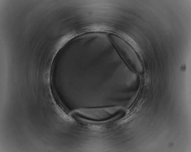 X0000099950946200806201309