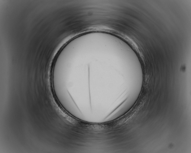 X0000099950947200806201309