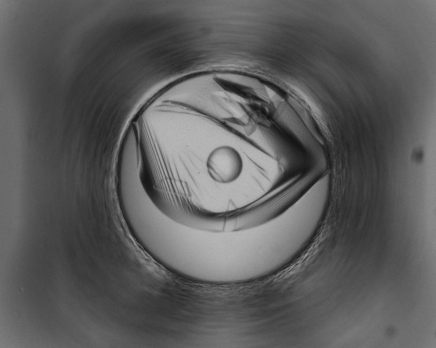 X0000099950948200806201309