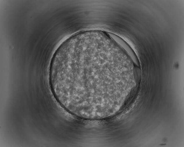 X0000099950949200806201309