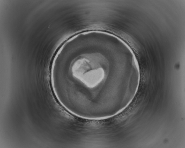 X0000099950950200806201309