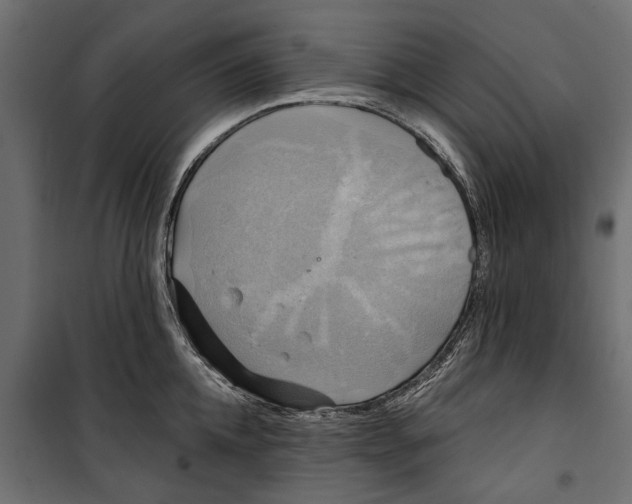 X0000099950952200806201310