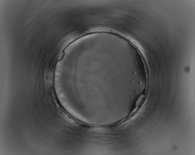 X0000099950953200806201310