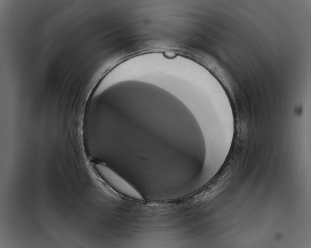 X0000099950954200806201310