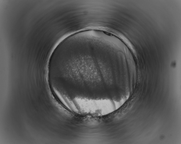 X0000099950955200806201310
