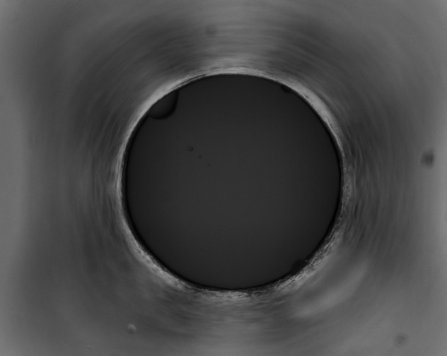 X0000099950957200806201310