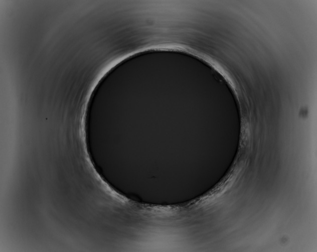 X0000099950959200806201310