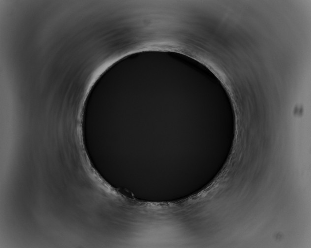 X0000099950960200806201310