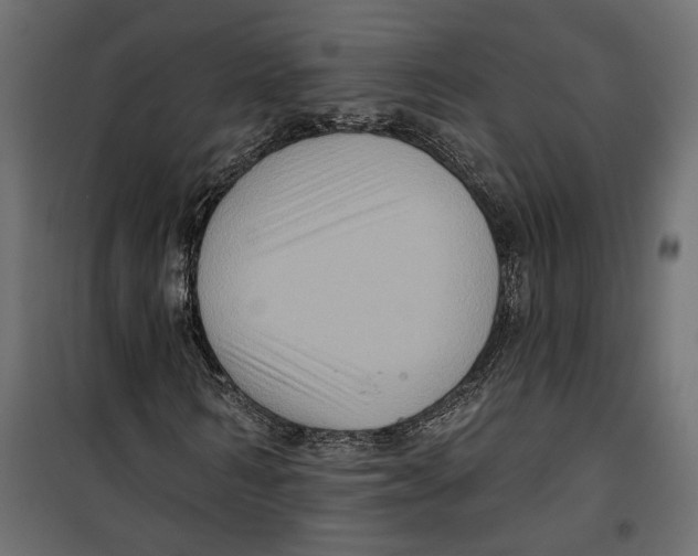 X0000099950962200806201309