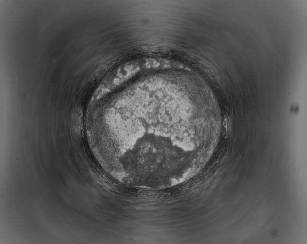 X0000099950963200806201309